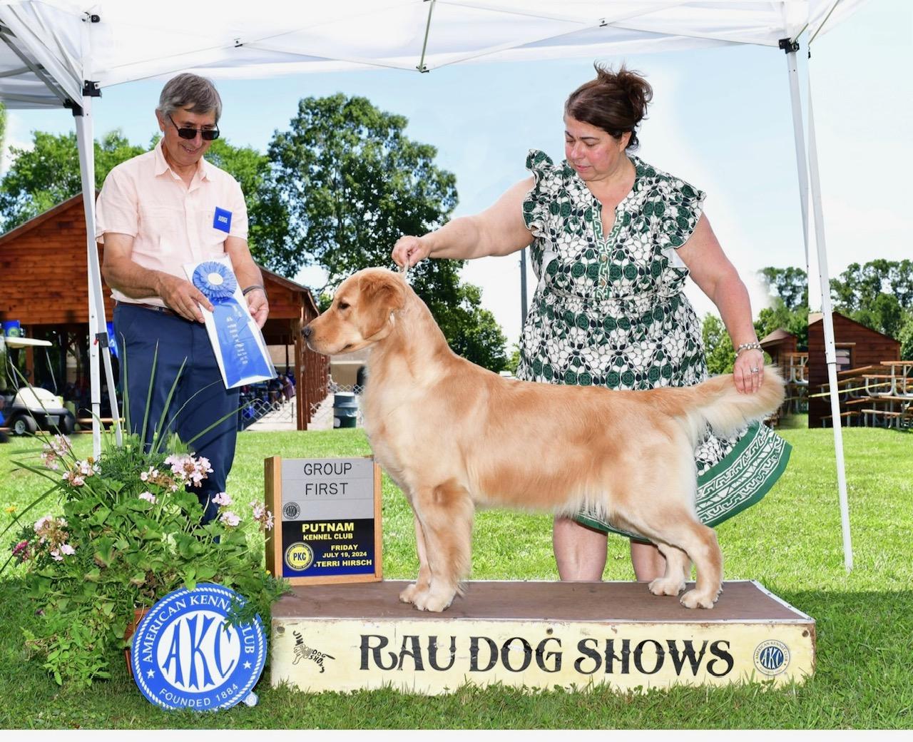 GOLDEN B BEAR Kennels Golden Retrievers Plymouth New Hampshire